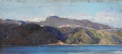 In Quarantine, Wellington by Tom Roberts